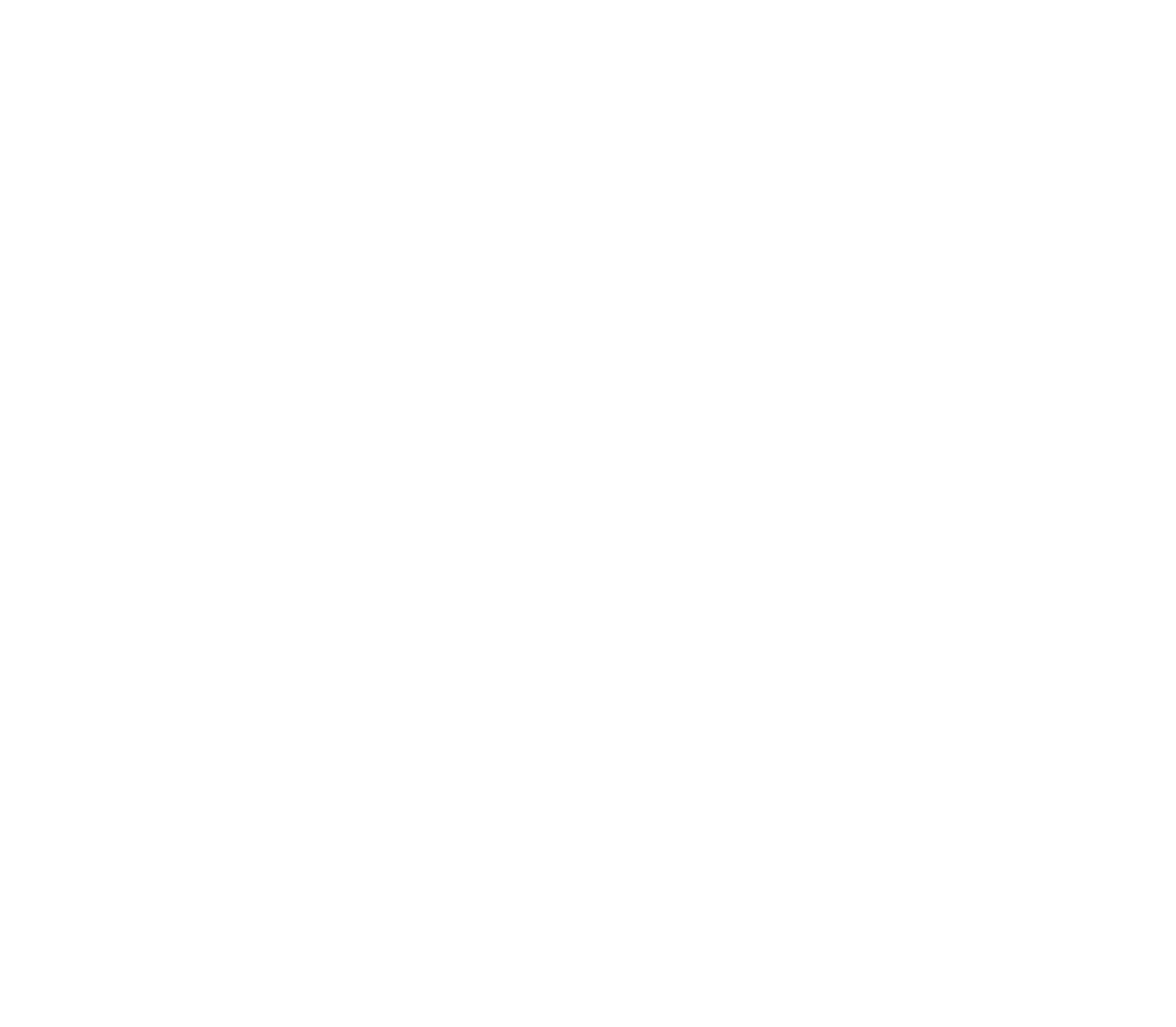 Ensign Partners Logo